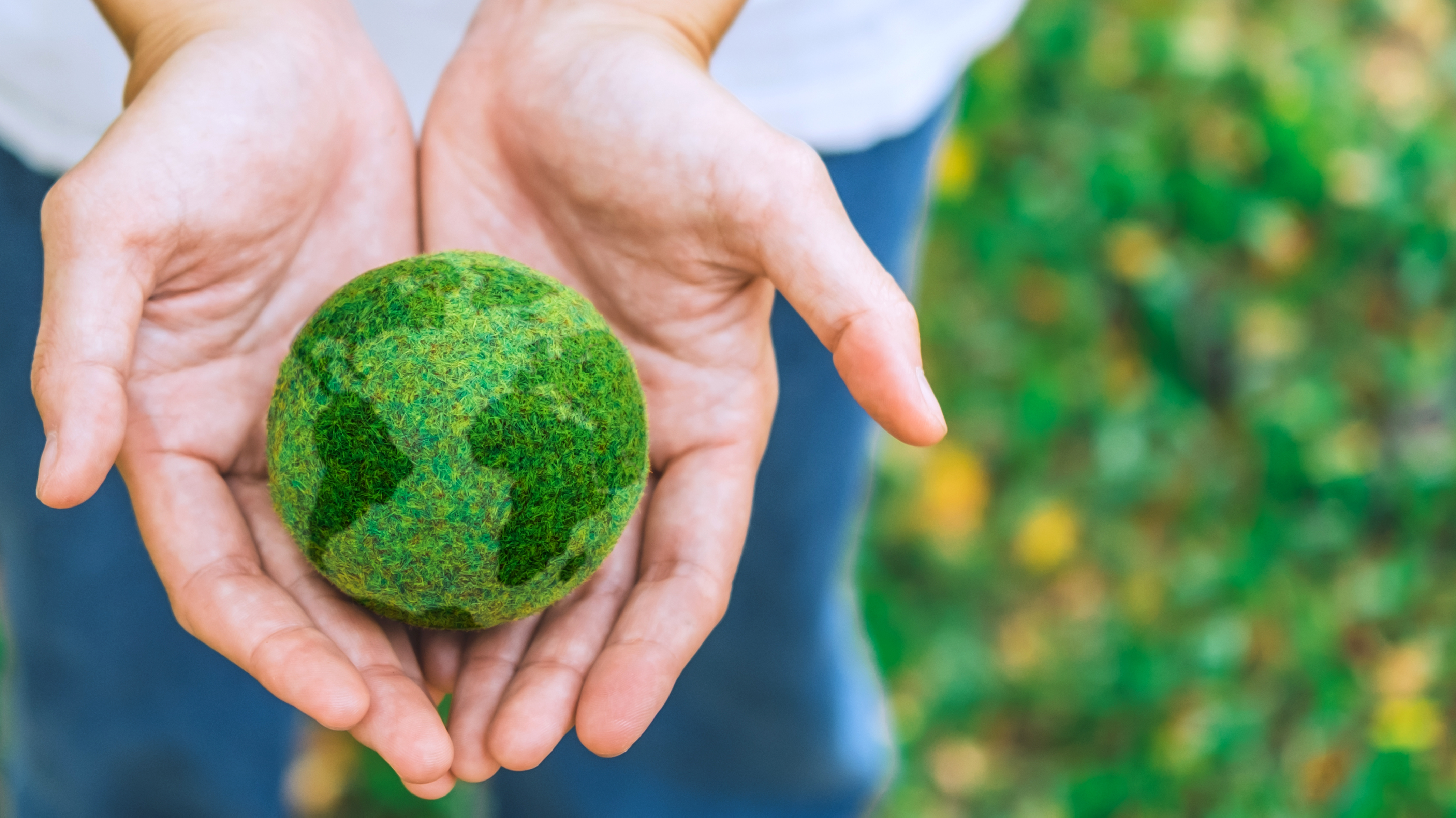 Someone holding their hands together holding a green ball